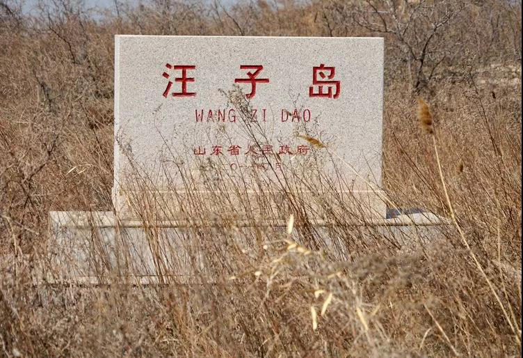 望子岛.png