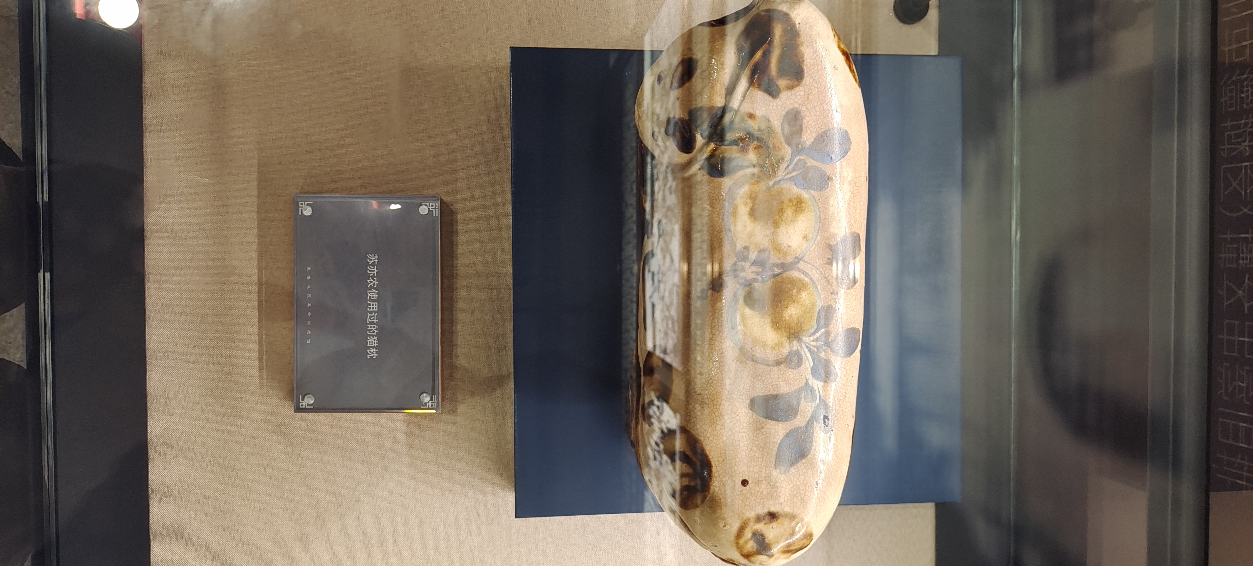 1  苏亦农使用的过的猫枕.jpg